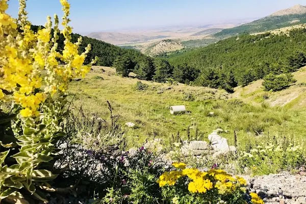 Kestel Konya - Resim 3