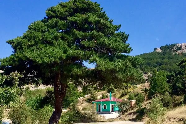 Kestel Konya - Resim 13