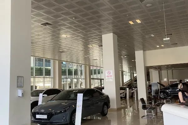 NEV Hyundai - Resim 20