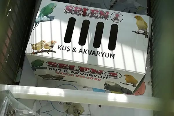 Selen Akvaryum 2 - Resim 3