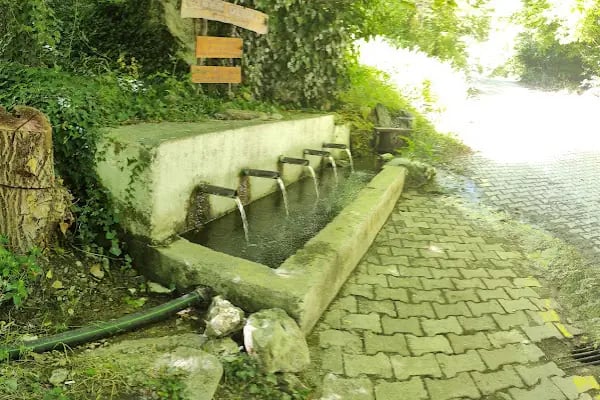 Beşoluk Kamp ve Yürüyüş Bölgesi (Camping and Trekking) - Resim 3