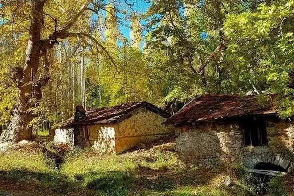 Beşoluk Kamp ve Yürüyüş Bölgesi (Camping and Trekking) - Resim 12