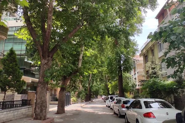 Ankara Valiliği İl Nüfus Ve Vatandaşlık Müdürlüğü - Resim 18