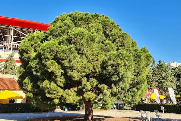 Corendon Airlines Park Antalya Stadyumu - Resim 17