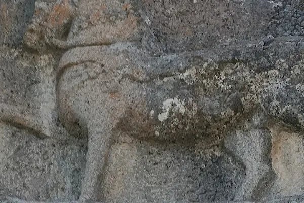 Lukyanus Kitabesi - Resim 11