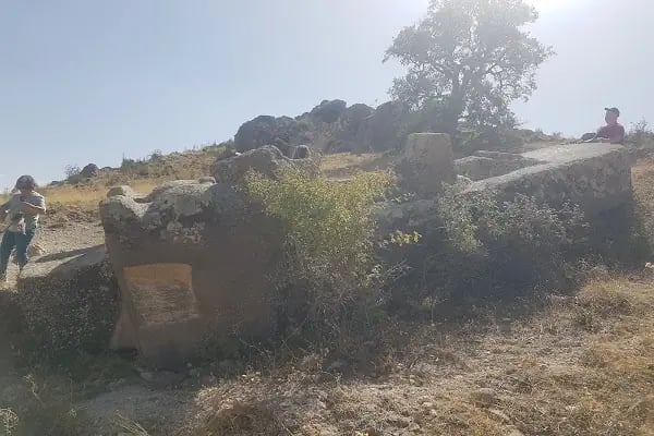 Lukyanus Kitabesi - Resim 18