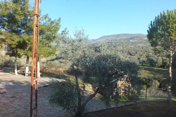 Olukbaşı İlkokulu - Resim 10