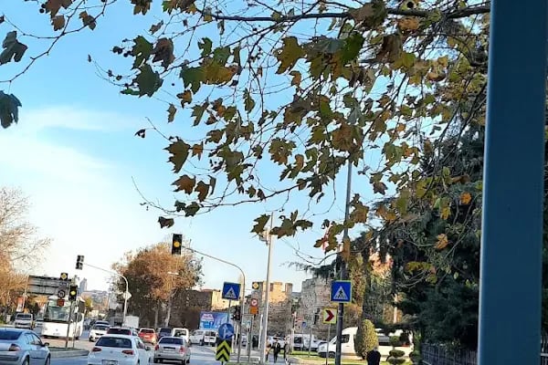 Abdülvedüd Sultan Türbesi - Resim 3