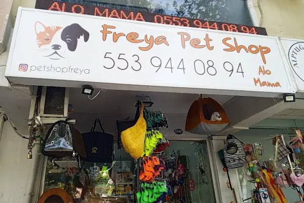 PET İMAJ PET KUAFÖR & PET SHOP & PET BUTİK - Resim 20