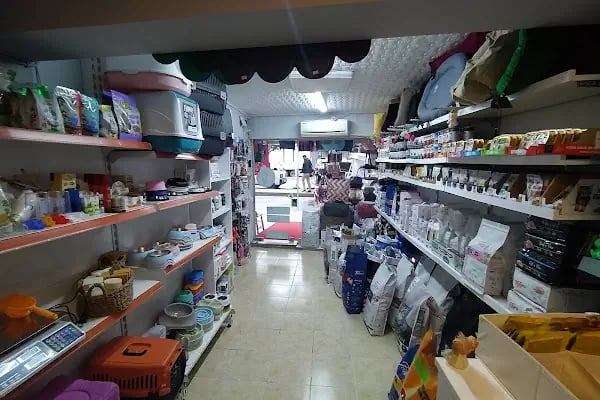 PET İMAJ PET KUAFÖR & PET SHOP & PET BUTİK - Resim 2