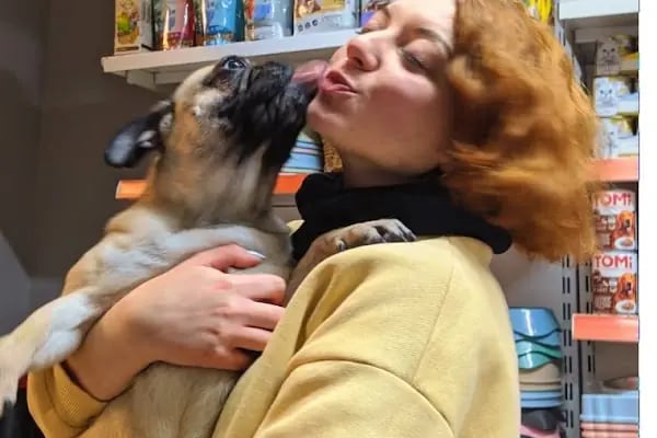 PET İMAJ PET KUAFÖR & PET SHOP & PET BUTİK - Resim 9