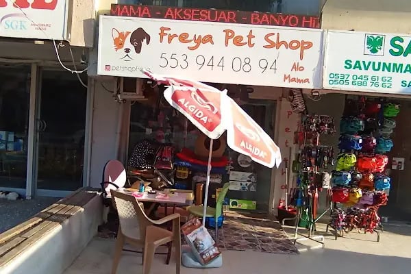 PET İMAJ PET KUAFÖR & PET SHOP & PET BUTİK - Resim 10