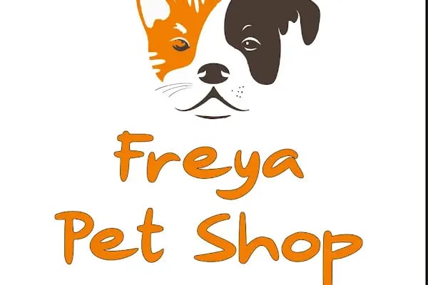 PET İMAJ PET KUAFÖR & PET SHOP & PET BUTİK - Resim 18