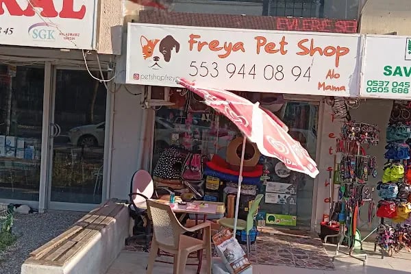PET İMAJ PET KUAFÖR & PET SHOP & PET BUTİK - Resim 4