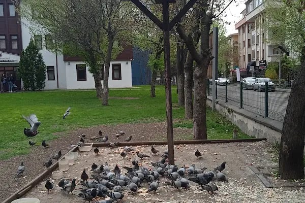 Aydınlık 2 Dinlenme Parkı - Resim 7