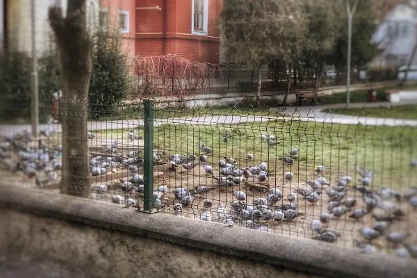 Aydınlık 2 Dinlenme Parkı - Resim 14