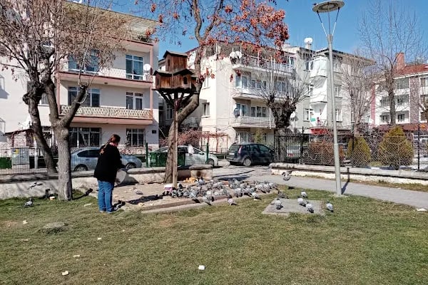 Aydınlık 2 Dinlenme Parkı - Resim 8