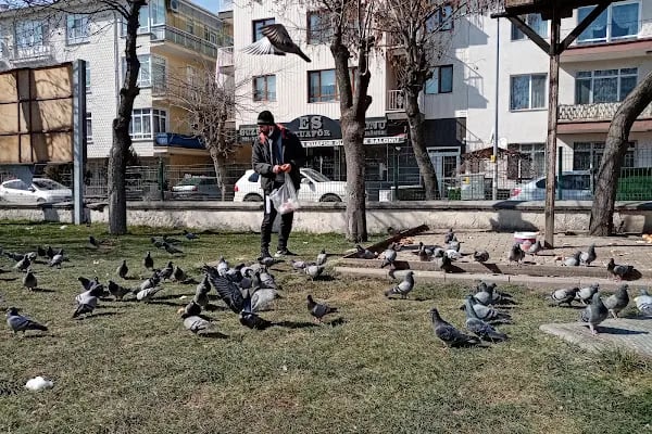 Aydınlık 2 Dinlenme Parkı - Resim 3