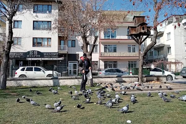 Aydınlık 2 Dinlenme Parkı - Resim 9