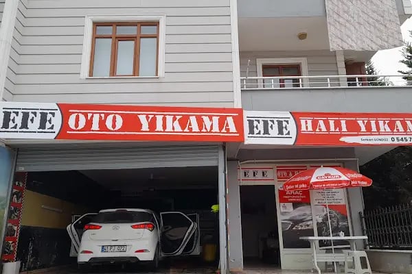 Efe oto yıkama Körfez kent - Resim 10
