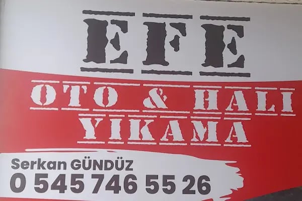 Efe oto yıkama Körfez kent - Resim 9