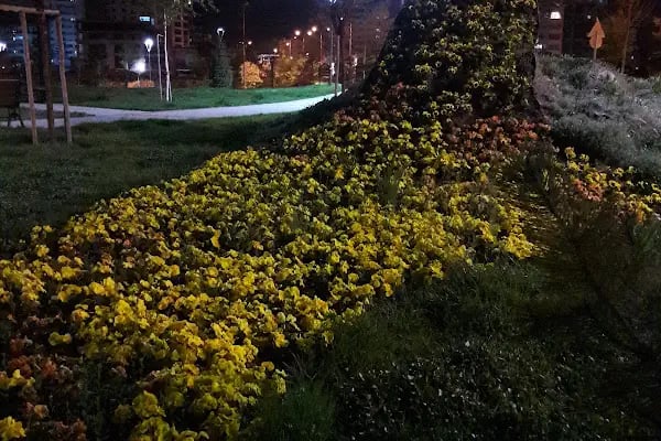 Altındağ Belediyesi Şehit Celalettin Ibiş Parkı - Resim 6