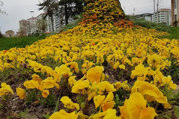 Altındağ Belediyesi Şehit Celalettin Ibiş Parkı - Resim 4