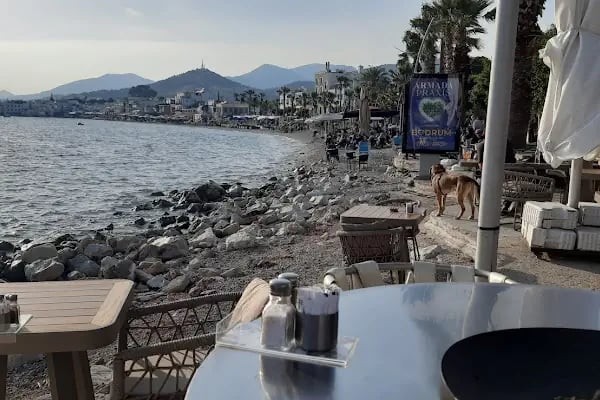 Bodrum Çarşı - Resim 11