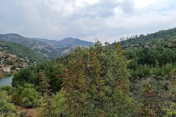 Himmetli İlkokulu - Resim 6