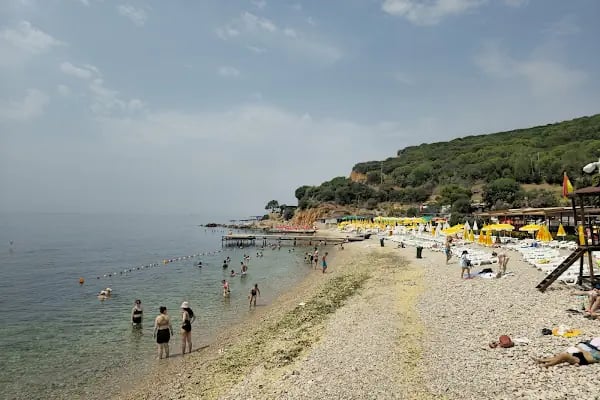 Bay titiz Oto Yıkama &amp; Kuaför - Resim 18
