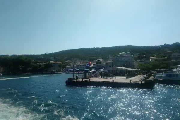 Bay titiz Oto Yıkama &amp; Kuaför - Resim 4