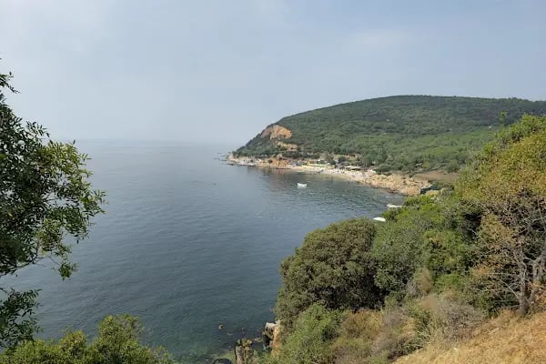 Bay titiz Oto Yıkama &amp; Kuaför - Resim 17