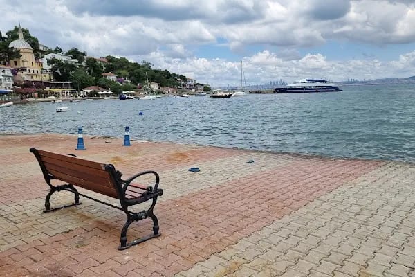 Bay titiz Oto Yıkama &amp; Kuaför - Resim 10
