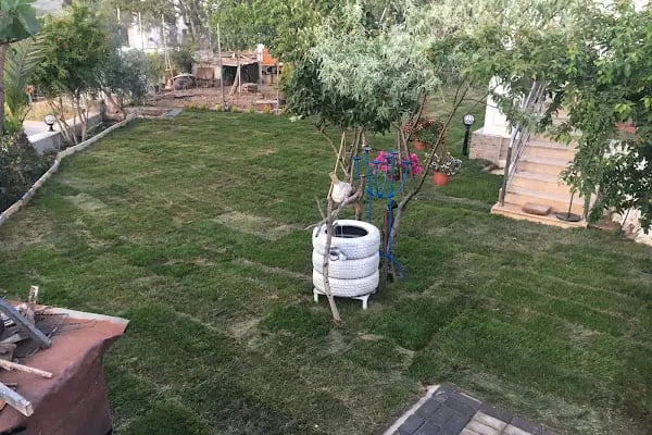 Bodrum Vosvos Camping &amp; Bora Sencer Sanat Köyü - Resim 9