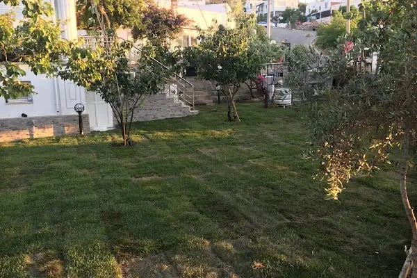 Bodrum Vosvos Camping &amp; Bora Sencer Sanat Köyü - Resim 8