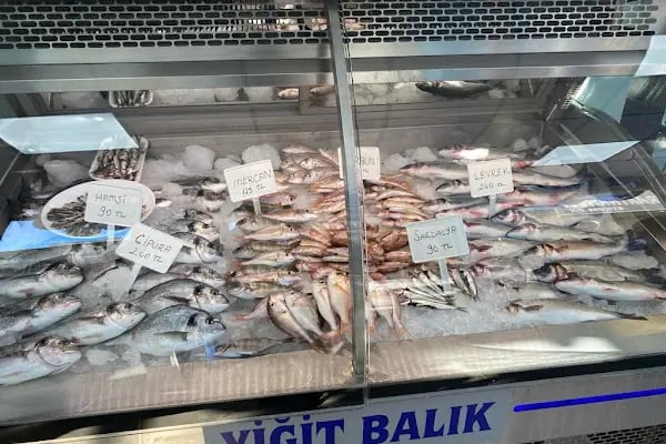 Yiğit Balık Pişiricisi - Resim 3