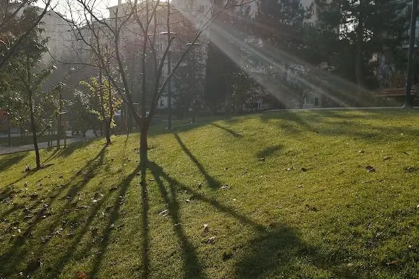 ATAŞEHİR BELEDİYESİ Nazım Hikmet Parkı - Resim 16