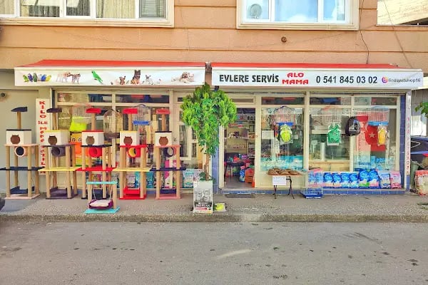 Linda Petshop - Resim 19