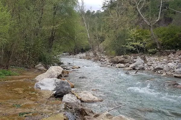 657 li Kebap Kokoreç Dünyası - Resim 18