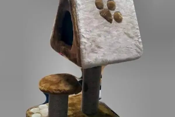 Karaca Petshop - Resim 9