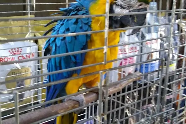 Karaca Petshop - Resim 5