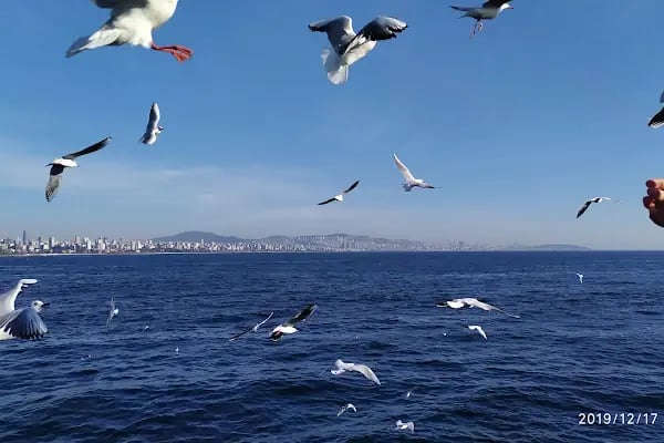 Adalar Vapur İskelesi - Resim 8