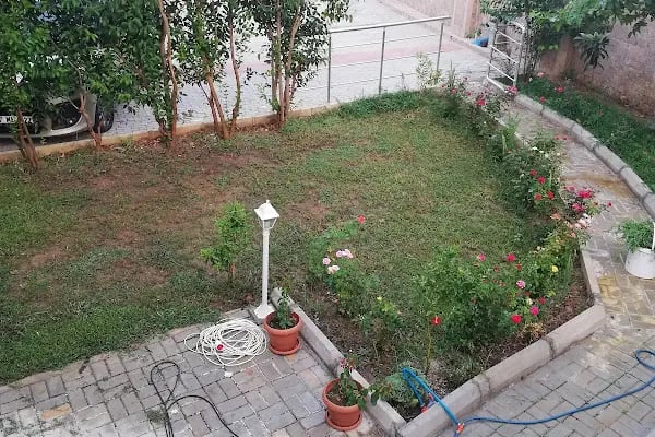 Mountaın Residence - Resim 8