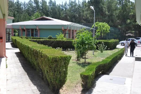 Adana Dr. Ekrem Tok Ruh Sağlığı Hastanesi - Resim 3
