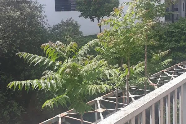 Antalya Büyükşehir Belediyesi Katlı Otopark - Resim 9