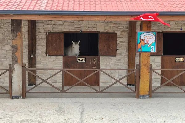 Bambo Gastro'n Pub - Resim 10
