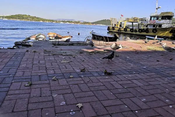 Adakeyf restaurant Burgazada - Resim 8