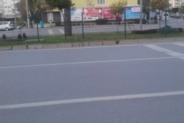Nebahat Şifa Anadolu İmam Hatip Lisesi - Resim 20