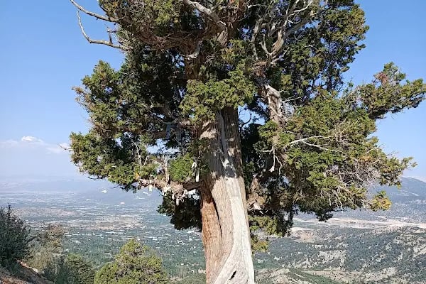 Uçarsu şelalesi - Resim 8