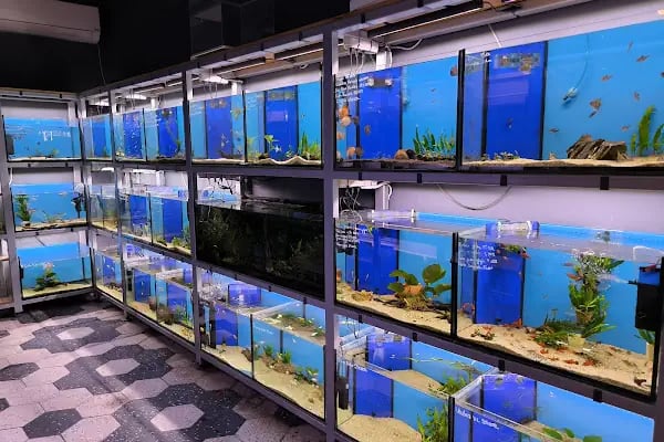 Bursa Aqua Farm - Resim 7